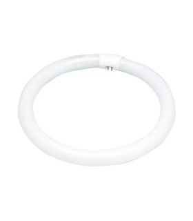 TUBO FLUORESCENTE CIRCULAR 40W F.BRIGHT