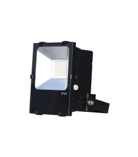 PROYECTOR LED PROFESIONAL IP65 PF mayor que 0,95 70W 6000K 110º 100-350V driver meanwell