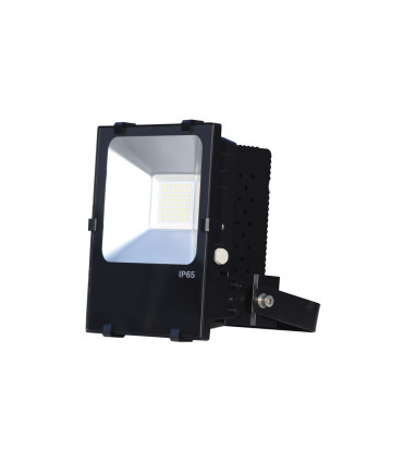 PROYECTOR LED PROFESIONAL IP65 PF mayor que 0,95 70W 6000K 110º 100-350V driver meanwell
