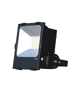 PROYECTOR LED PROFESIONAL IP65 PF mayor que 0,95 100W 6500K 110º 100-350V driver meanwell chip seoul