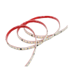 TIRA DE  LED FLEXIBLE PROFESIONAL IP65 16W/MT 3000K 230V 10MM 120LED/MT venta por metros