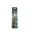 PILA BOTON PLANA  CR-2032 ( BLISTER DE 5 UND)