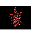 SET 3 RAMAS 96 LUCES ROSAS CON TRANSFORMADOR 18,81W 24V IP20 alto 1m