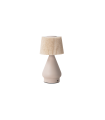 LAMPARA DE MESA LED REGULABLE CAMBIO DE TONO RECARGABLE USB  IP20 2W