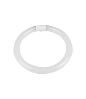TUBO LED CIRCULAR ø215MM G10Q 15W 6500K 180º 230V conexión directa a red