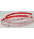 TIRA DE  LED FLEXIBLE PROFESIONAL IP67 17W/MT 3000K 230V 12x4MM 120LED/MT venta por metros