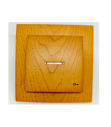 PULSADOR LUMINOSO ROBLE EMPOTRAR SERIE 8000