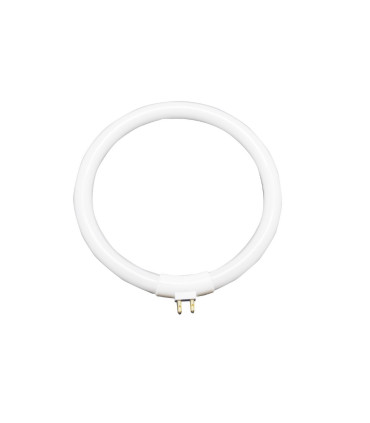 TUBO CIRCULAR T4 12W RECAMBIO FLEXO LUPA 1950050-51