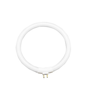 TUBO CIRCULAR T5 22W RECAMBIO FLEXO LUPA