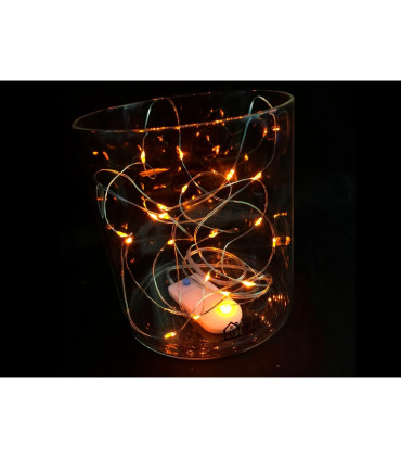 HILO LUMINOSO 2 METROS 20LEDS BLANCO CALIDO CON BATERIAS 2XCR2032 FUNCION FLASH CON MANDO CABLE COBRE 1,2W 6V IP20