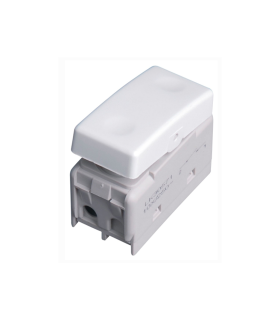 MODULO PULSADOR ESTRECHO  10A 250V