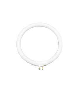 TUBO CIRCULAR T4 12W RECAMBIO FLEXO LUPA 1950050-51