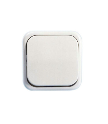 INTERRUPTOR BLANCO