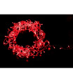 GUIRNALDA 144 LEDS PARA INTERIOR ROJO 13.8W 230V 15m IP20